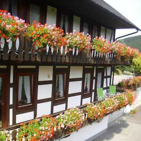 Flat In With Garden, Cleaning Included Apartamento Schmallenberg
