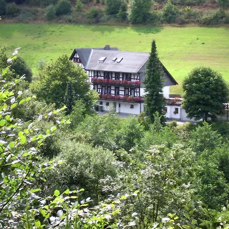 Flat In With Garden, Cleaning Included Apartment *
