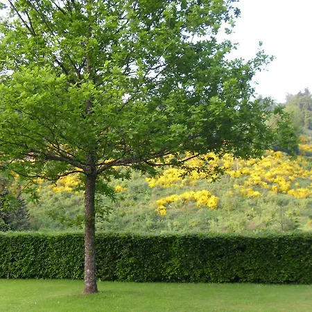 Apartment Flat In With Garden, Cleaning Included *